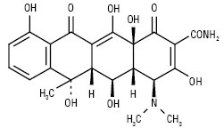 Oxytetracyclinum.ai