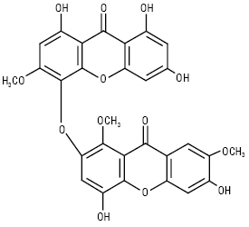 Ksantonu_Hirantun.ai