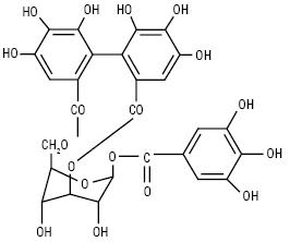 Muchnucja_korulagin.ai