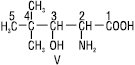 Nomenklatura_organ_spol_3.eps