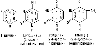 Pirimidinovi_osnovy.eps