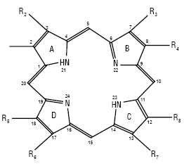 Profirunu_Profirun.ai
