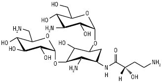 Amicacinum.ai