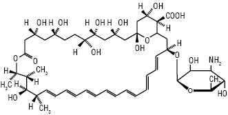 Amphotericinum.ai