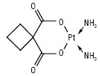 Carboplatinum.ai