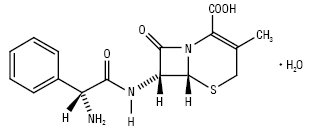 Cefalexinum.ai