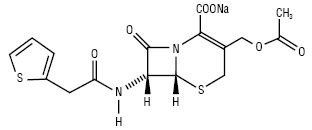 Cefalotinum natricum.ai