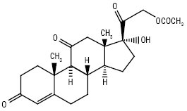 Cortisoni acetas.ai