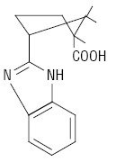 Diacamph.ai