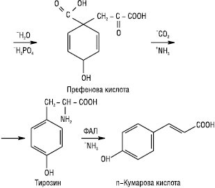 Flavonoidy_42.eps