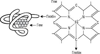 Gemoglobin.eps