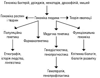 Genom.ai