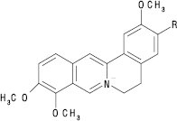 Gydrastіs_yatrorizin_palmatin.eps