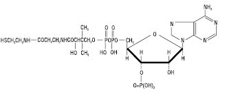 Koferment_A.eps