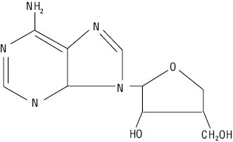 Kordicepc01.eps