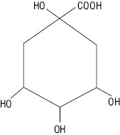 Kordicepc02.eps