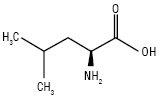 Leucinum.ai