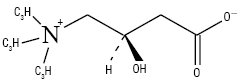 Levocarnitinum.ai