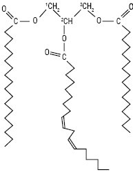 Lipids04.ai