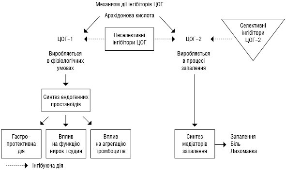 NPZP.ai