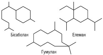 Olea aetherea 06.ai