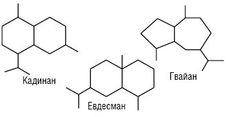 Olea aetherea 07.ai