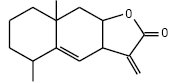 Olea aetherea 09.ai