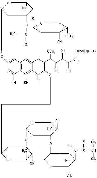 Olivomycinum.ai