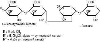 Pektin_1.ai