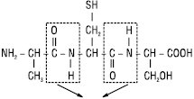 Peptidi.eps