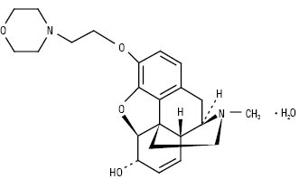 Pholcodinum.ai