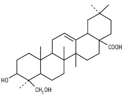 Plysh.ai фото