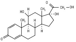 Prednisolonum.ai