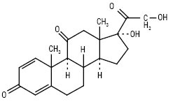 Prednisonum.ai