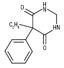 Primidonum.ai