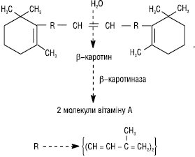 Provitamin_1.eps