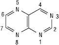 Pteridin_1.eps