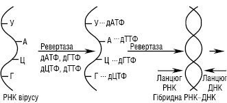 RNK_zalegna_1.ai