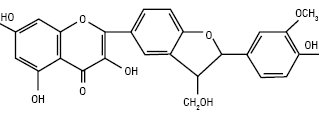 Silikristin.ai