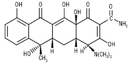 Tetracyclinum.ai