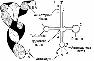 Transportni_RNK.tif