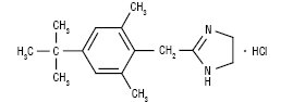 Xylometazolini hydrochloridum.ai