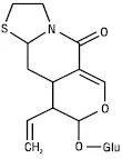 Zimolost.eps