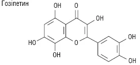 gibiskus3.ai