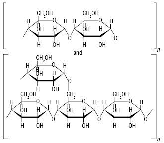 maltodextrin.ai