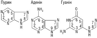 osnovy.ai