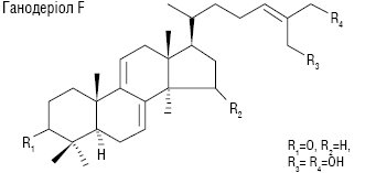 reishi1.ai