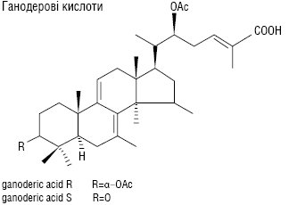 reishi4.ai